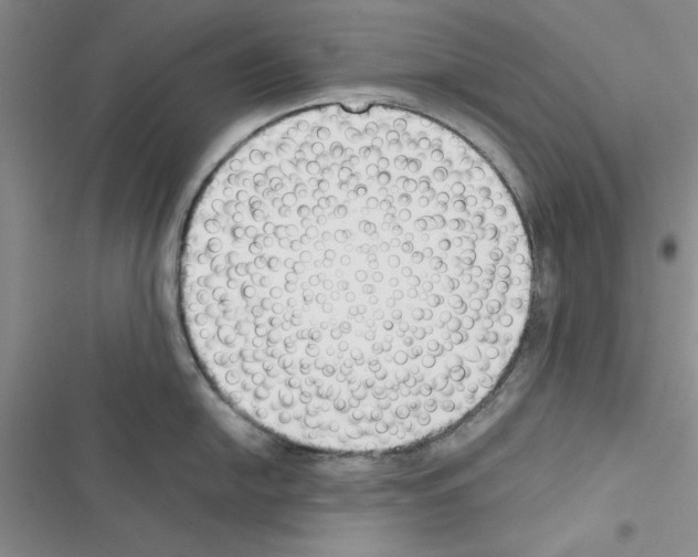 X0000116621054201001221336