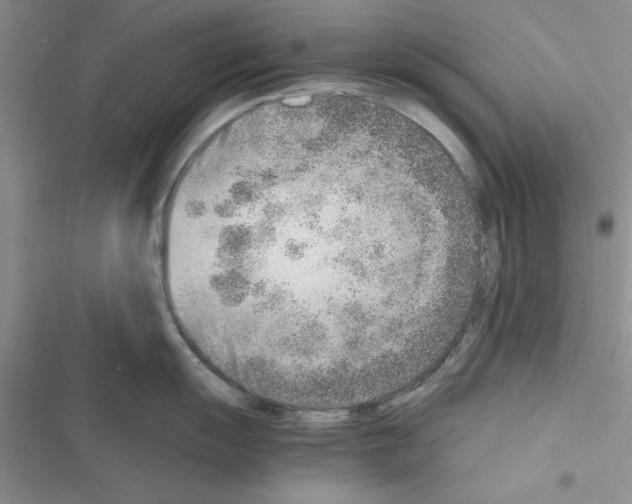X0000116621055201001221336