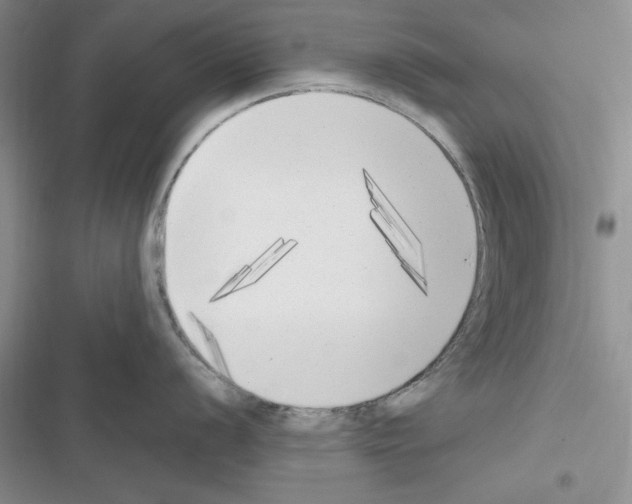 X0000116621056201001221336