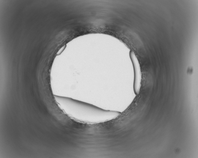 X0000116621057201001221335