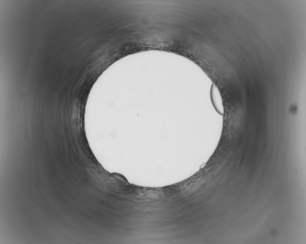 X0000116621058201001221335