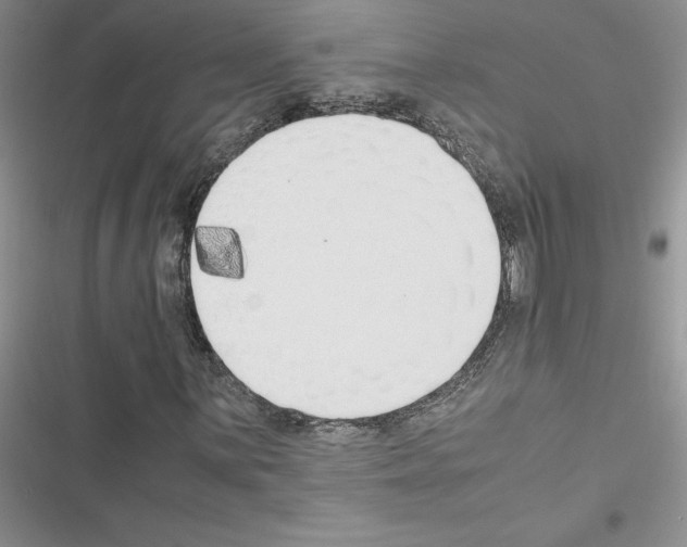 X0000116621059201001221335