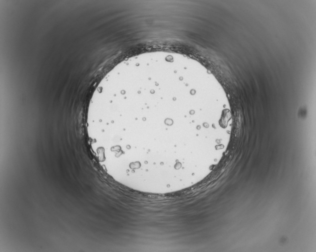X0000116621060201001221335