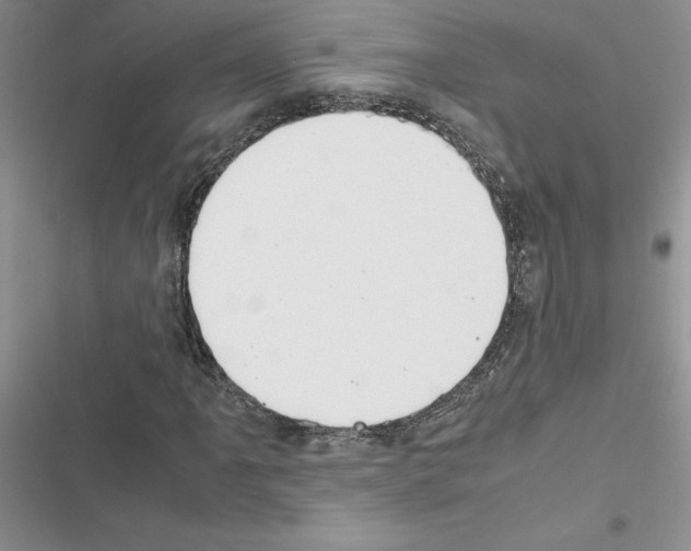X0000116621061201001221335