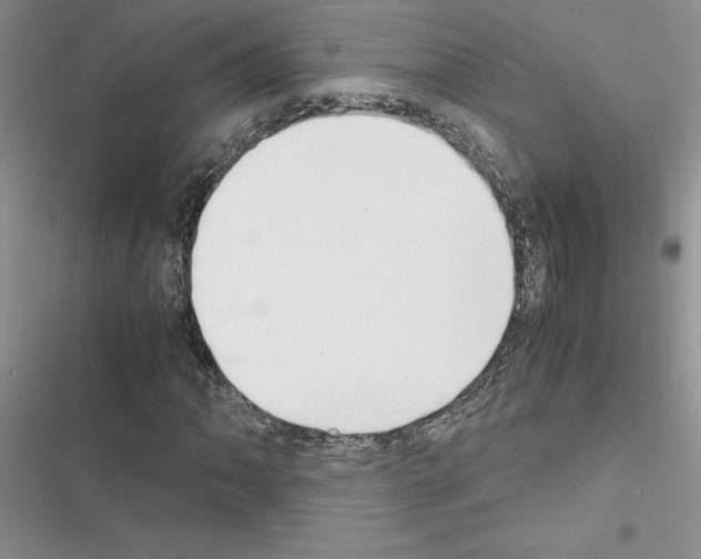 X0000116621062201001221335