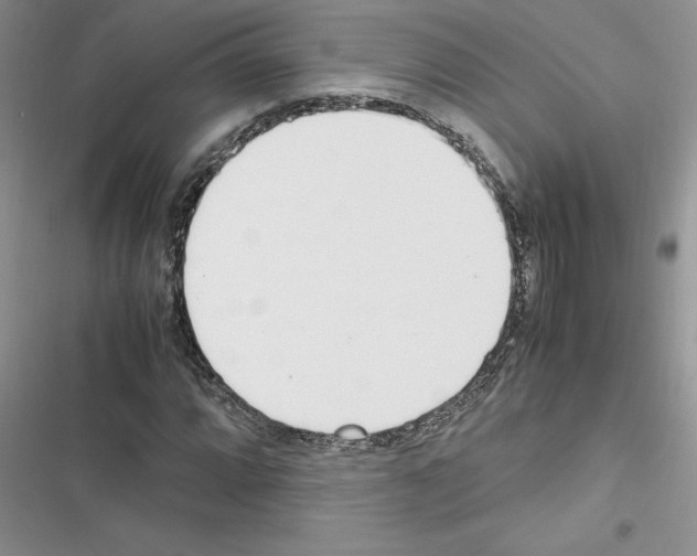 X0000116621064201001221335