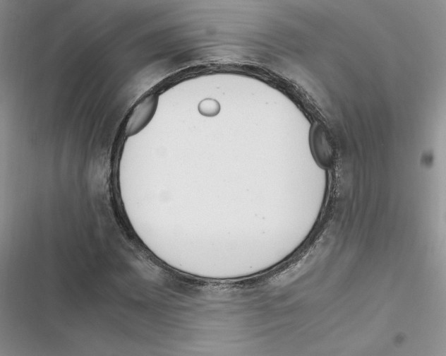 X0000116621065201001221335