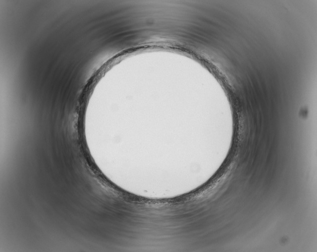 X0000116621066201001221335