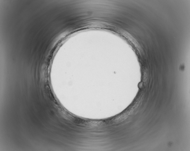 X0000116621067201001221335