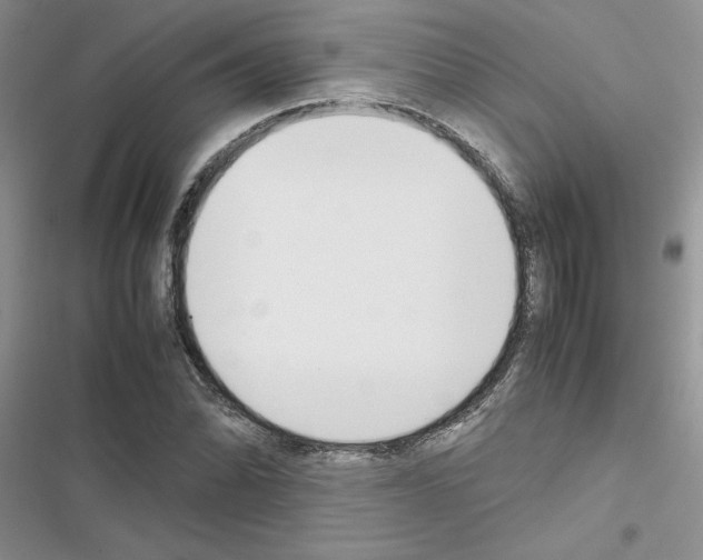 X0000116621070201001221335