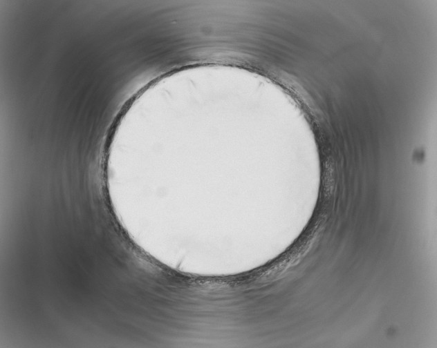 X0000116621071201001221335