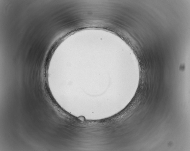 X0000116621072201001221335
