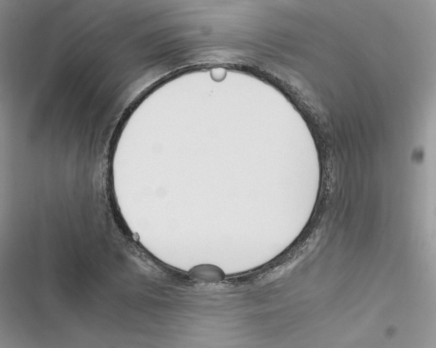 X0000116621073201001221335