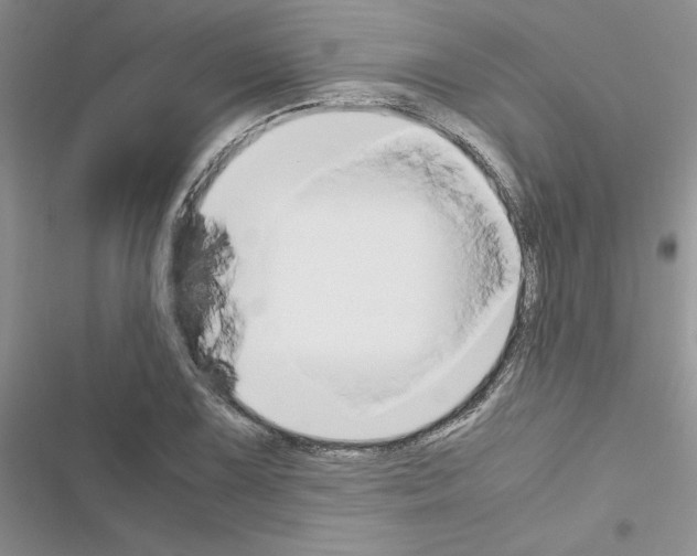 X0000116621075201001221335