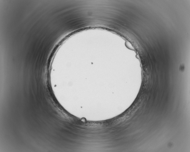 X0000116621076201001221335