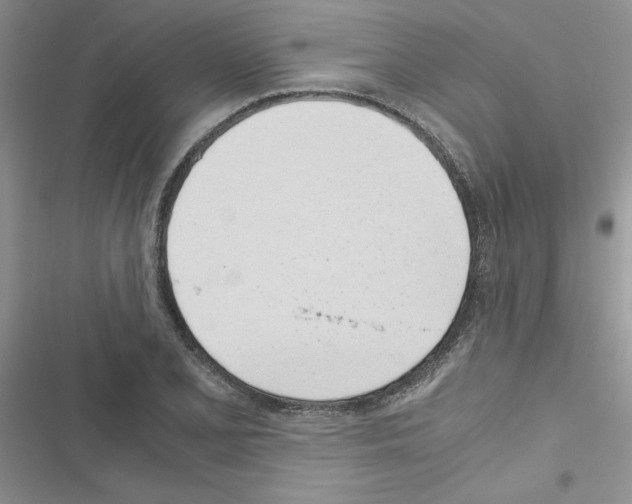 X0000116621077201001221335
