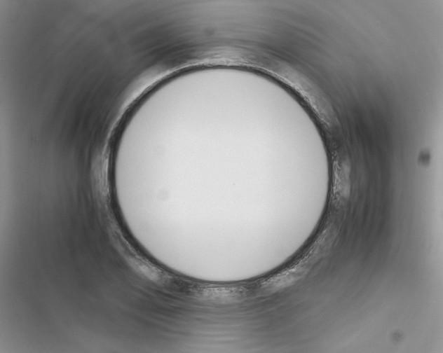 X0000116621078201001221335