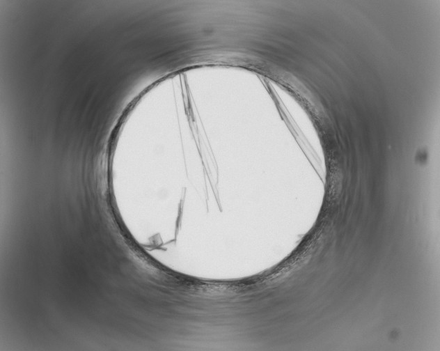 X0000116621079201001221335