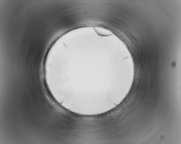 X0000116621080201001221335