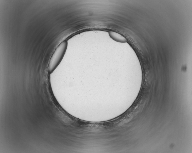 X0000116621081201001221335