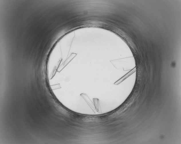 X0000116621083201001221335
