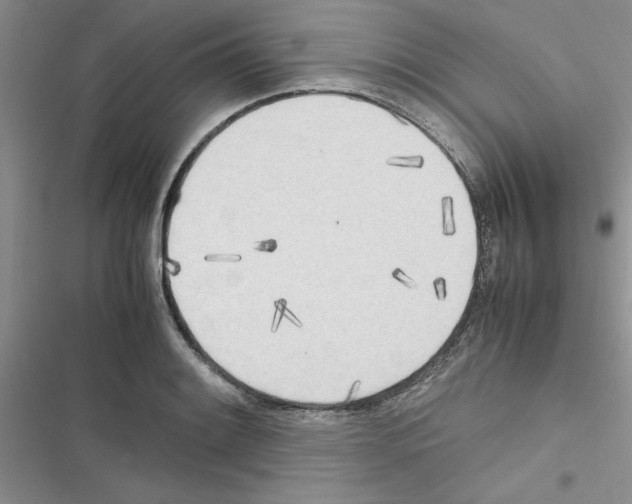 X0000116621084201001221335