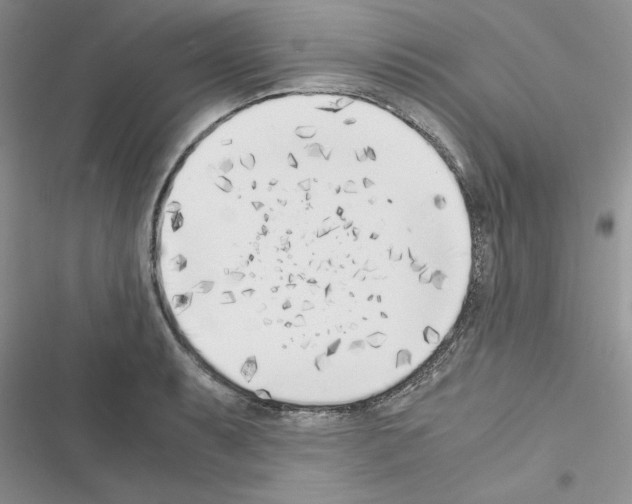 X0000116621087201001221335