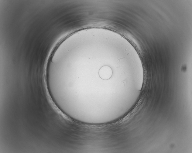 X0000116621088201001221335