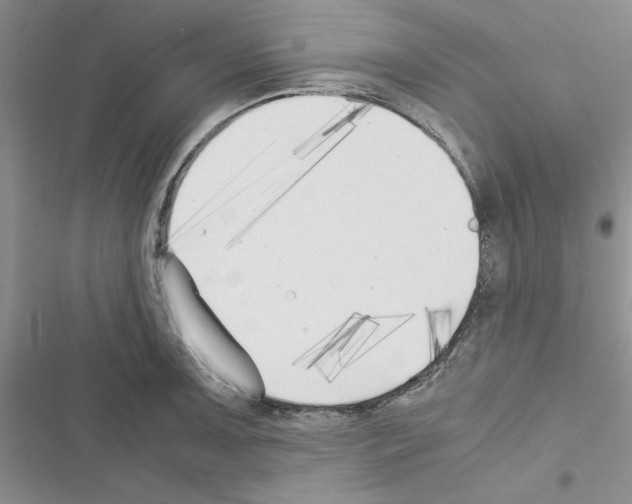 X0000116621091201001221335