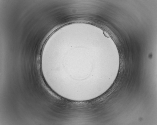 X0000116621092201001221335