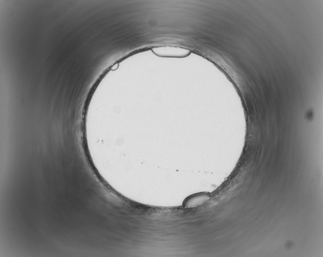 X0000116621093201001221335