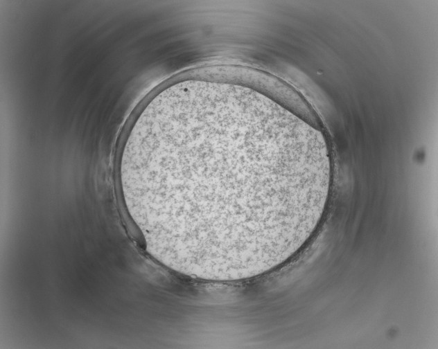 X0000116621097201001221334