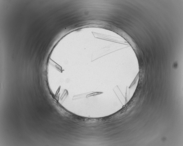 X0000116621099201001221334
