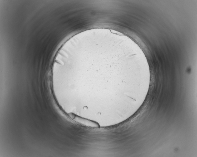 X0000116621100201001221334