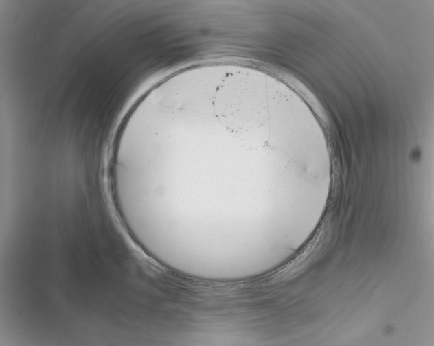 X0000116621101201001221334