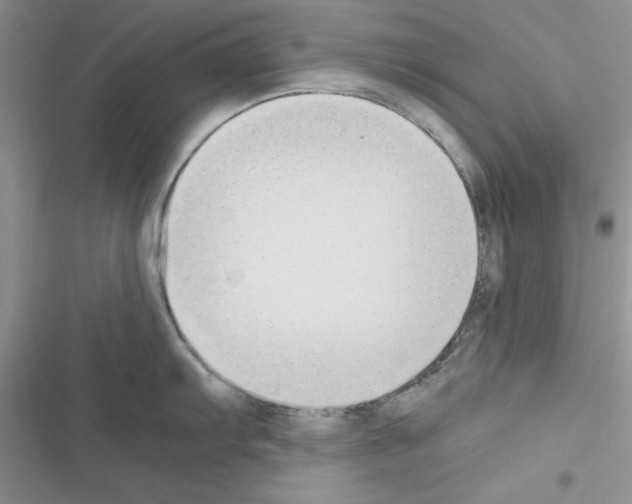 X0000116621103201001221334