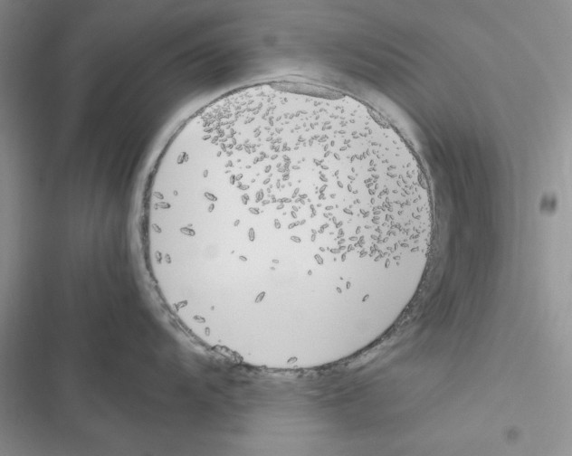 X0000116621104201001221334