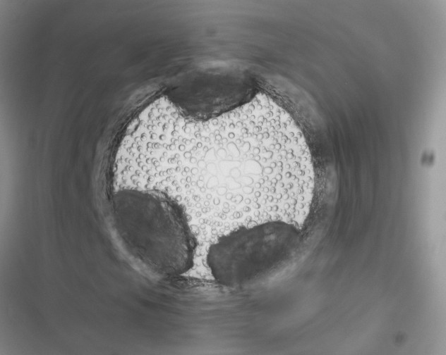 X0000116621105201001221334