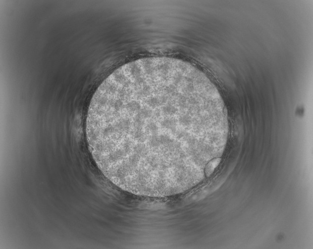 X0000116621106201001221334
