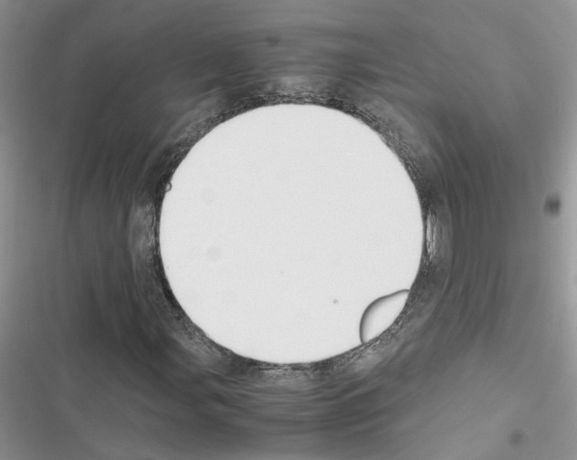 X0000116621107201001221334