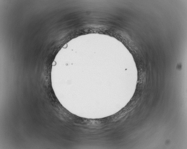 X0000116621109201001221334