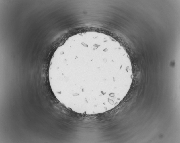 X0000116621110201001221334