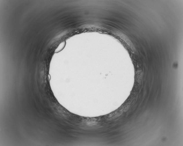 X0000116621111201001221334