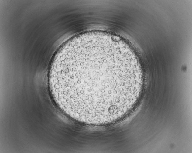 X0000116621113201001221334