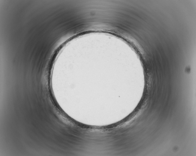 X0000116621114201001221334