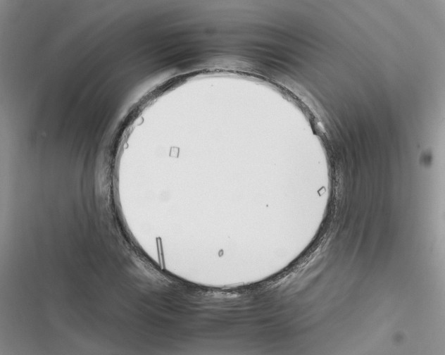 X0000116621115201001221334