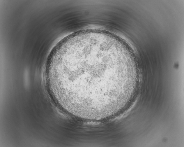 X0000116621117201001221334