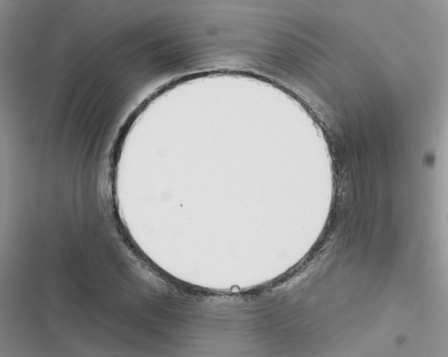 X0000116621118201001221334