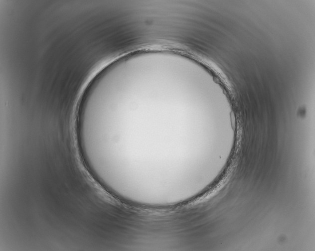 X0000116621122201001221334