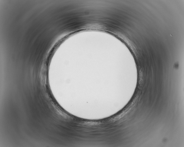 X0000116621123201001221334